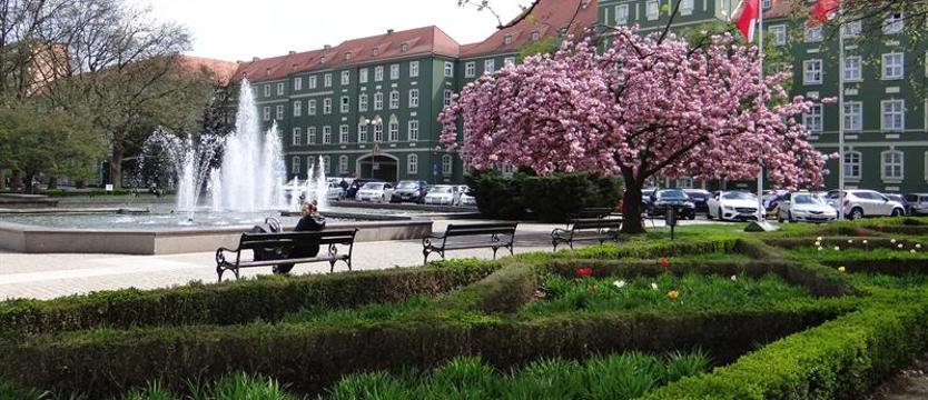 Sumienie i obrona zwierząt