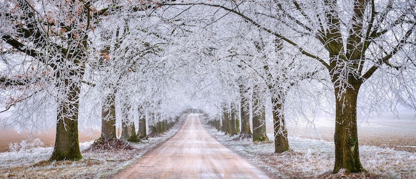 W marcu jak w garncu. Ostrzeżenie przed śniegiem i przymrozkami