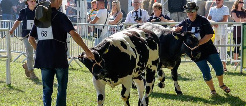 Święto tradycji, nowoczesności i rolników. Ruszają XXXVI Barzkowickie Targi Rolne Agro Pomerania 2024