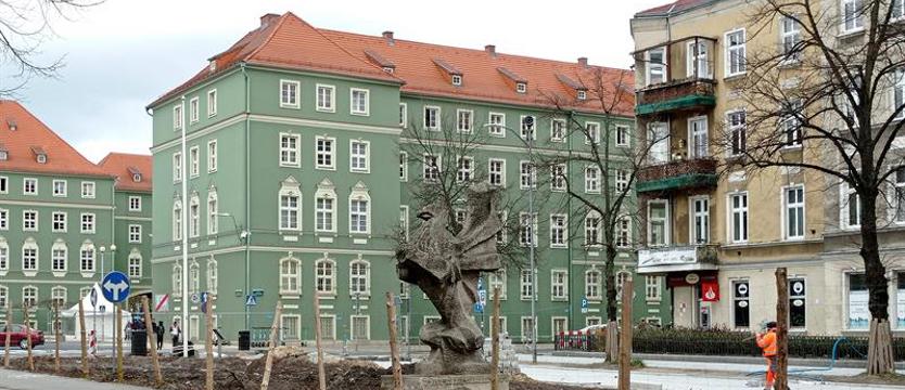 Przebudowa al. Papieża Jana Pawła II. Co mieli, to wycięli