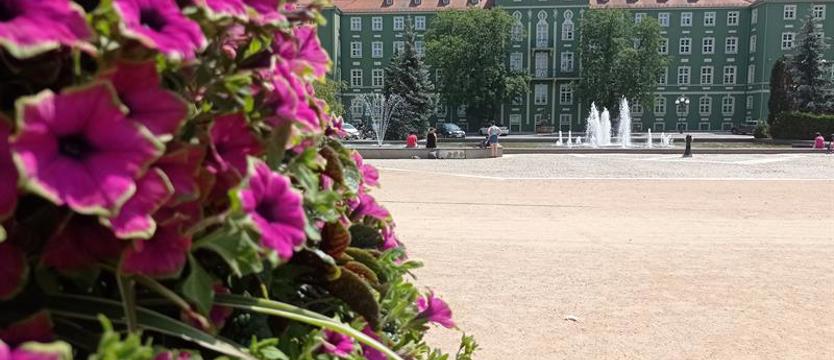 Jak ugryźć 17 milionów?