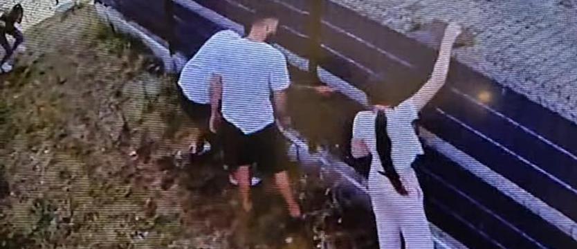 Zwabili psa do płotu i ukradli