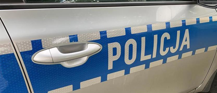 Ukradli skarbonkę z pieniędzmi na leczenie Ingi z Przęsocina. Policja zatrzymała jednego z podejrzanych