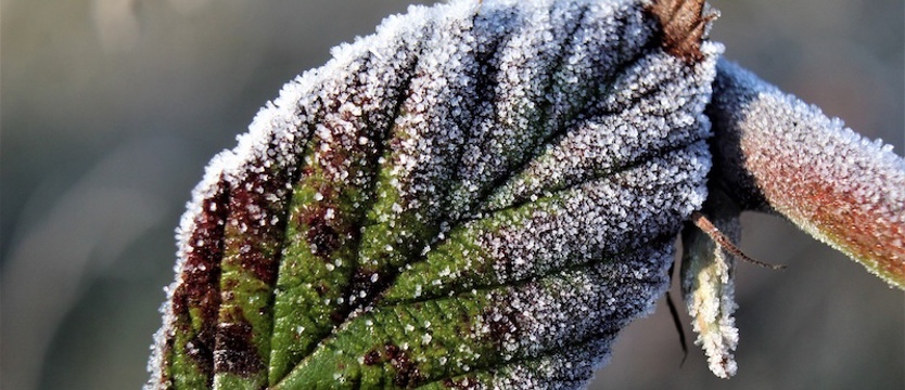 Nadchodzi mroźna noc ostrzega IMGW