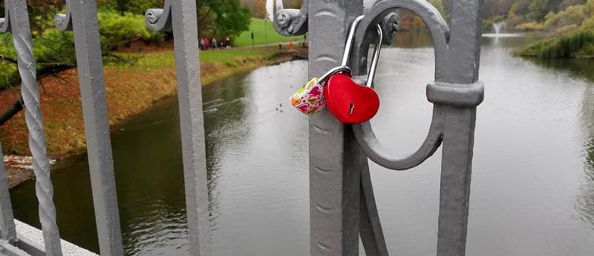 Miłość na moście. Kłódki wróciły