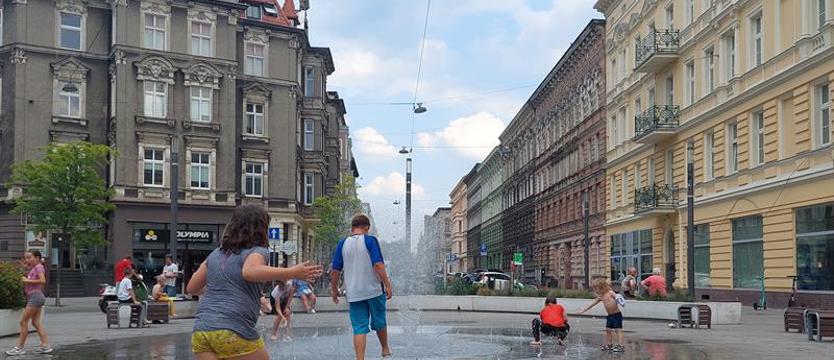 Fontanna to nie miejsce do kąpieli