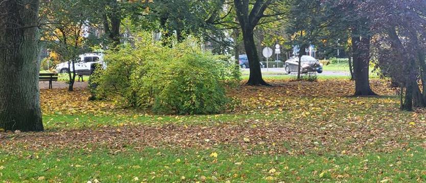 Skwer generała Skrzypczaka. Kołobrzescy radni nie mieli wątpliwości