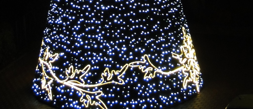 Świąteczna choinka w centrum Gryfina