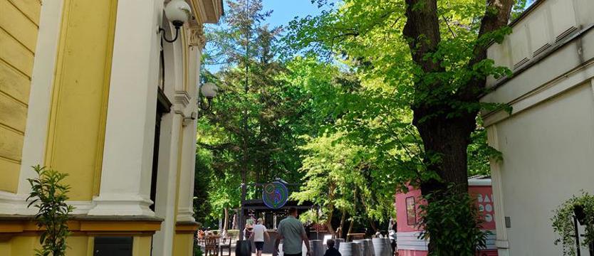 Talenty, pasja, integracja. Student Voice Challenge