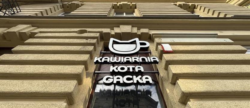 Szlakiem miejskich legend i… kotów