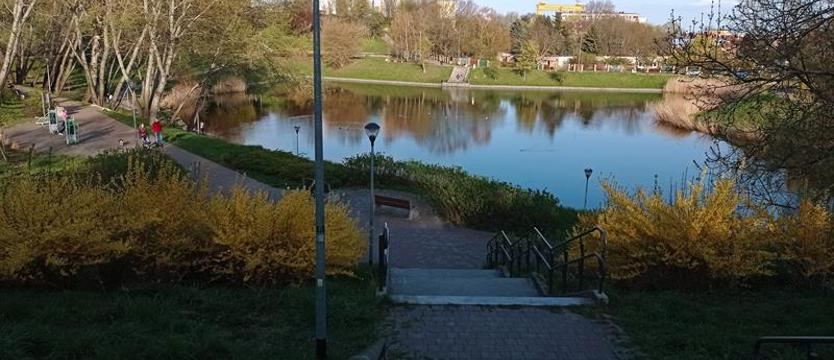 Czwartek nie tylko nad stawem. Po zielonej stronie miasta