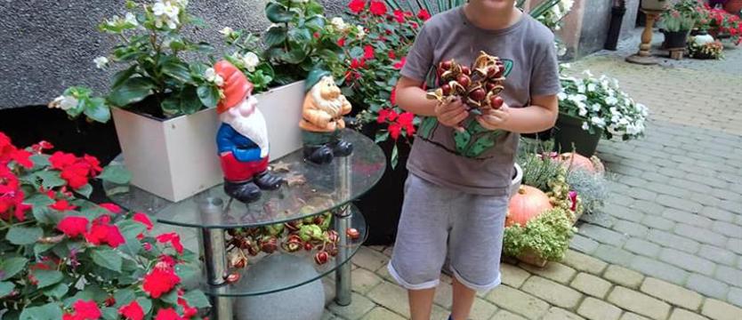 Pora jesiennych zmian na podwórku przy al. Piastów 67