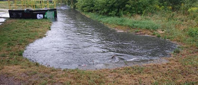 Ścieki z oczyszczalni zatruwają Inę. Tak się dzieje w Stargardzie od lat