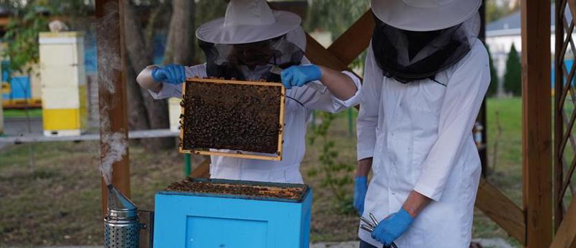 Ule stale monitorowane