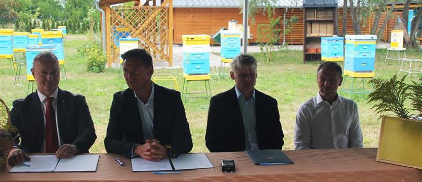 Wsparcie na karmę dla pszczół