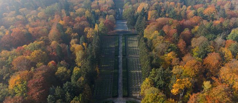 Sobota na jesienny spacer. Czas „parku umarłych"