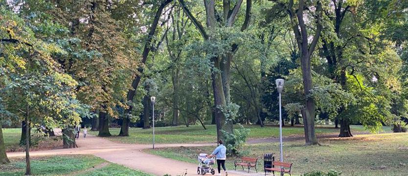 Zielone płuca Szczecina
