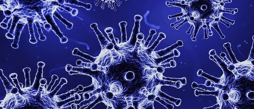 W czwartek w kraju 218 nowych zakażeń wirusem SARS-CoV-2. Zmarło 46 osób