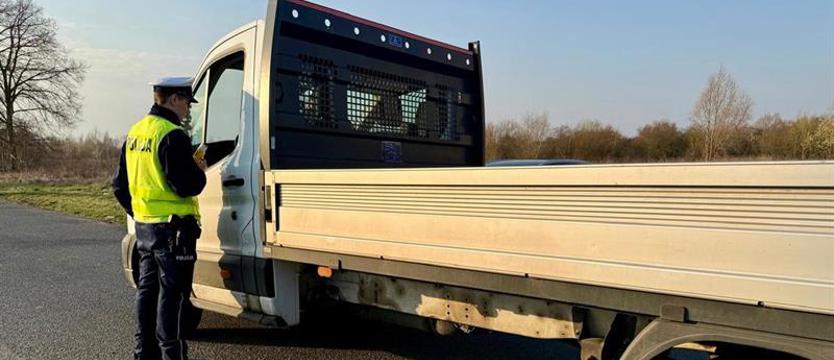 Przewozy pod lupą. Policjanci kontrolowali kierowców