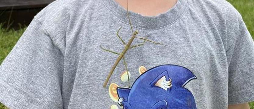 Mój pupil – nasz konkurs