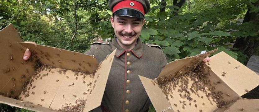 Świerszcze jak orkiestra. Enklawa pośród portowych dźwigów