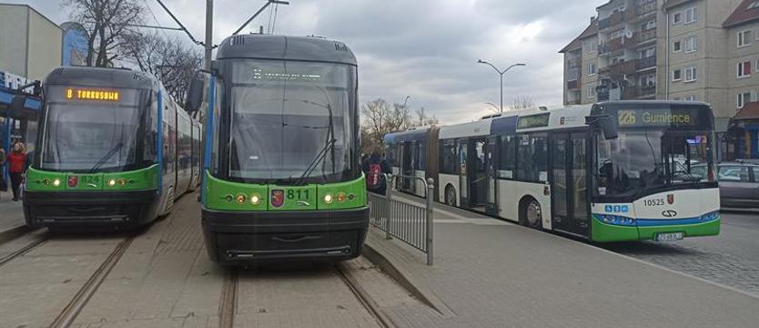 Jak dobrze znasz szczecińską komunikację miejską?