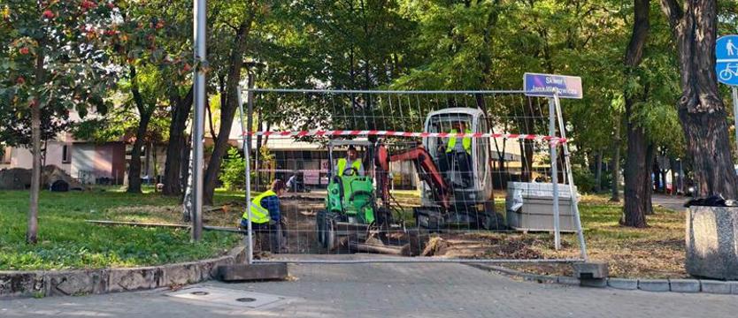 Skwer im. Jana Wojtowicza przechodzi metamorfozę. Posadzą tysiące roślin