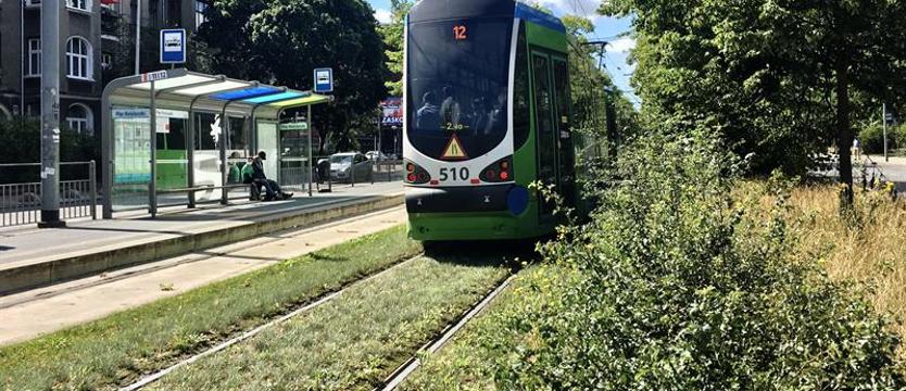 Tłuczeń, beton i zły klimat. Szczecin omija zielone tory