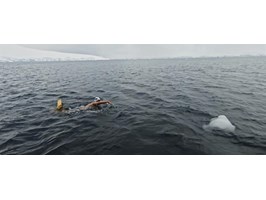 Pływak Leszek Naziemiec szykuje się do wyprawy na Alaskę