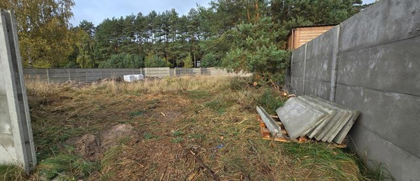 Nie tylko dla wilków. Szczególne miejsce dla dużych drapieżników