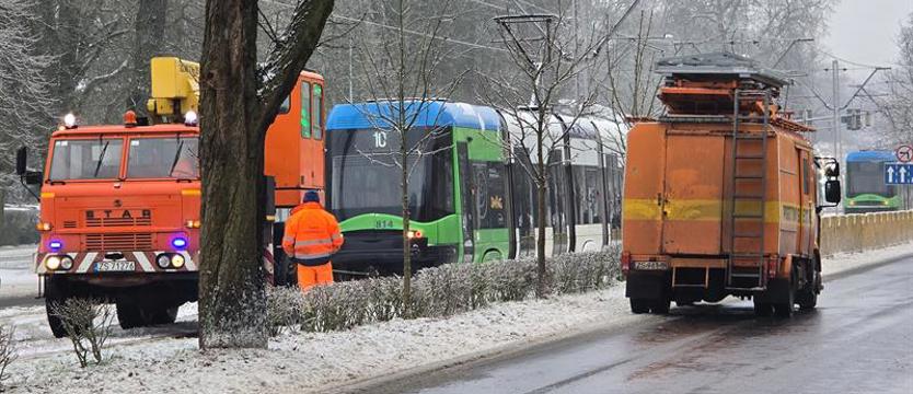 Chcą dymisji prezesa Tramwajów Szczecińskich