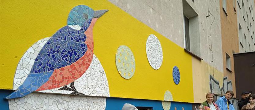 Mozaika, Odra oraz idea parku narodowego