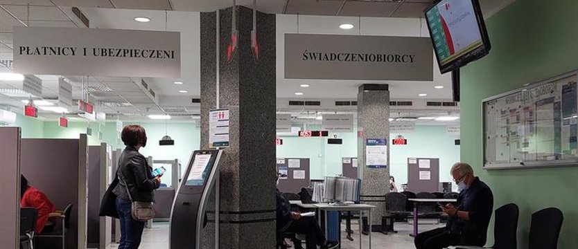 24Kurier pl ZUS Nied ugo Uruchomi Wnioski 24kurier-pl-zus-nied-ugo-uruchomi-wnioski