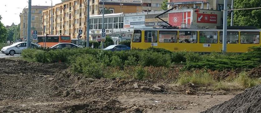 Nie szkoda róż? Zieleń przegrywa z inwestycjami