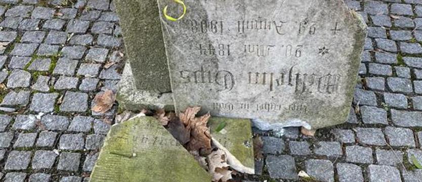 Ścigani za zniszczenie zabytków. Odpowiedzialność: do 8 lat więzienia