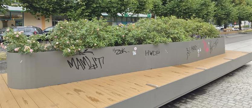 Nie pomogła akcja wspólnego sprzątania. Wandale znów przejmują Plac Adamowicza