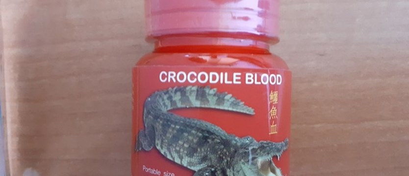 Przechwycono przesyłkę z kapsułkami z krwią krokodyla