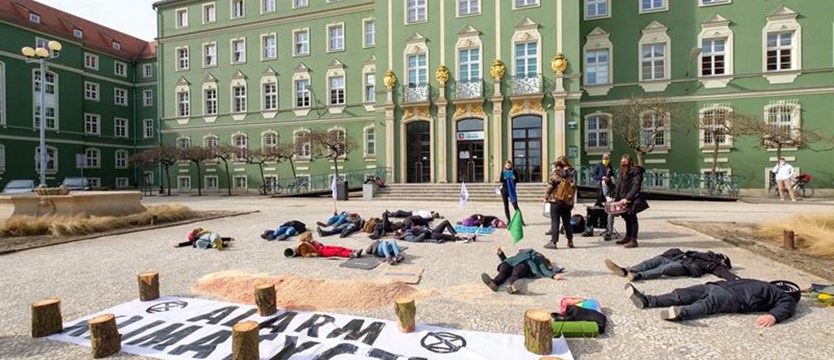 Protestowali przeciwko wycinkom drzew w Szczecinie