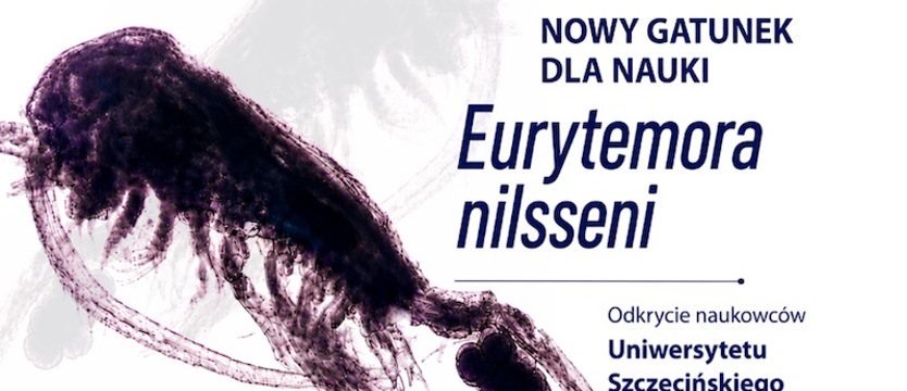 Szczecińscy naukowcy odkryli nowy gatunek skorupiaka z wybrzeża Norwegii