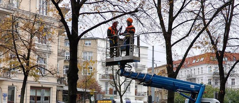 Zielone „podstrzyżyny” w Szczecinie