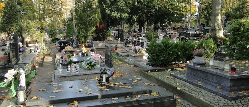 Czasowa zmiana organizacji ruchu w okolicy cmentarza w Gryfinie