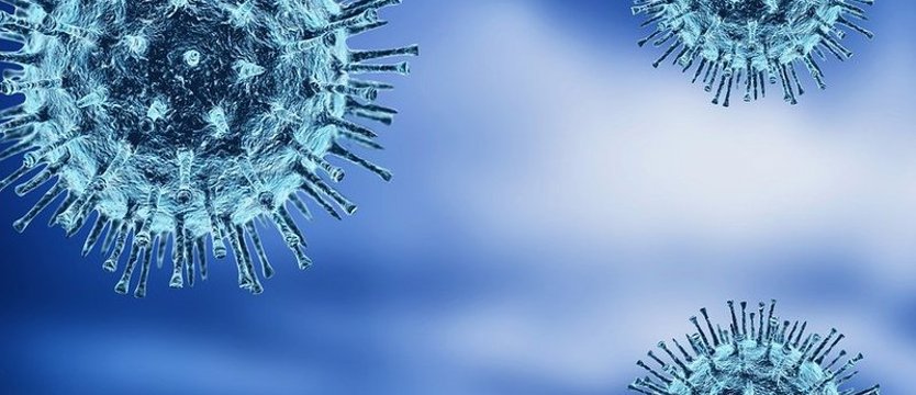 W kraju najwięcej zakażeń SARS-CoV-2 od początku czerwca