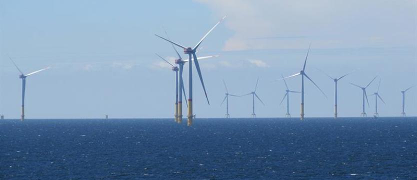 PiS: "Rząd mógł zrobić więcej, aby zatrzymać Vestas w Szczecinie"