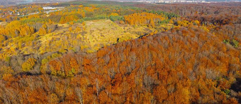 Nowe parki krajobrazowe pod ochroną