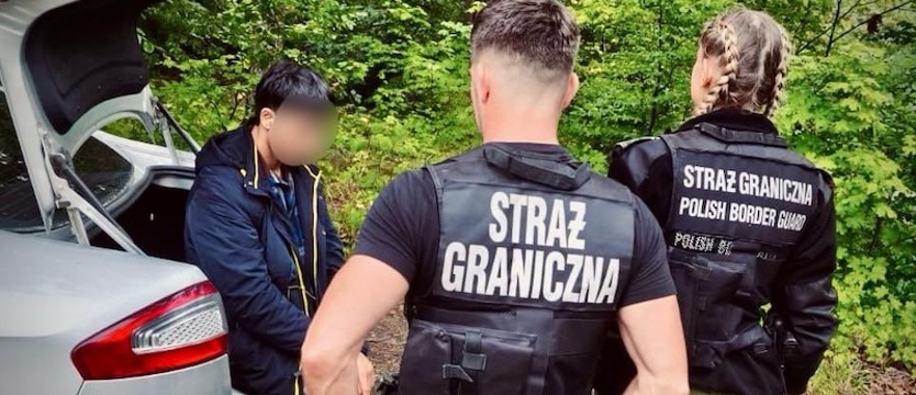 Kurierzy przewożący nielegalnych migrantów zatrzymani przez Straż Graniczną