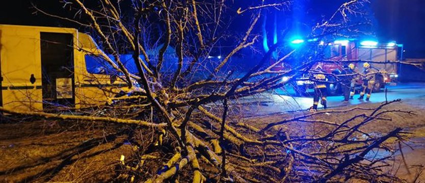 Wichura w regionie. Silny wiatr połamał drzewa i zerwał linie energetyczne