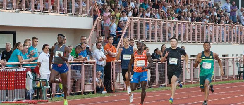 Lekkoatletyka. Czworo medalistów olimpijskich i... Lisek