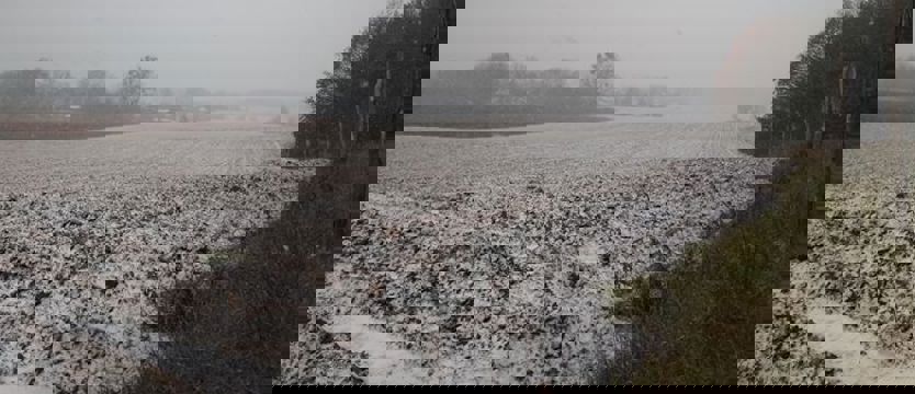 Pierwszy śnieg w Szczecinie i regionie