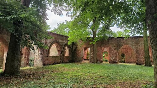 Ruiny klasztoru augustianów w Jasienicy. Fot. Agnieszka Spirydowicz