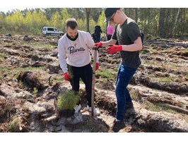 Rusza piąta edycja Festiwalu Wolontaryjnego EY GDS Polska. Pracownicy zasadzą 4000 drzew